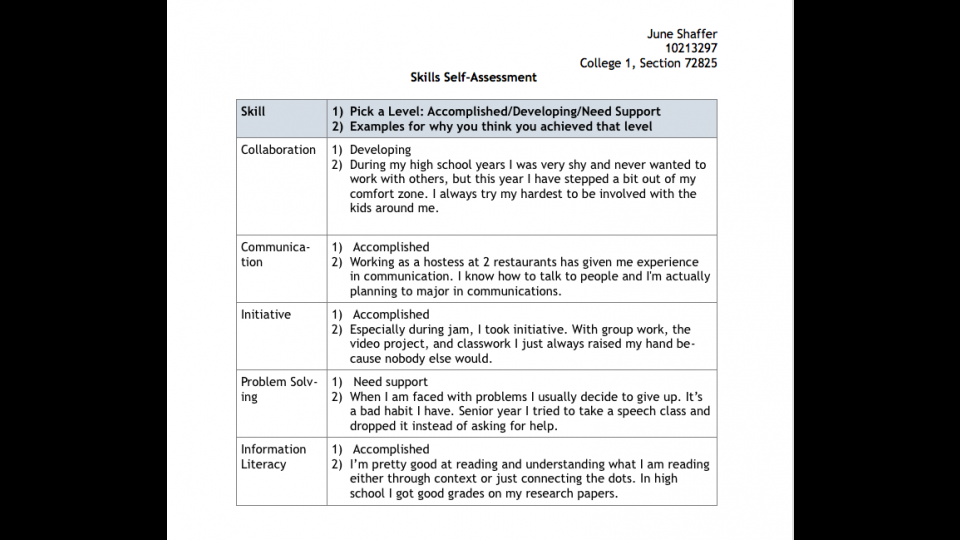 Skills Self Assessment Portfolium