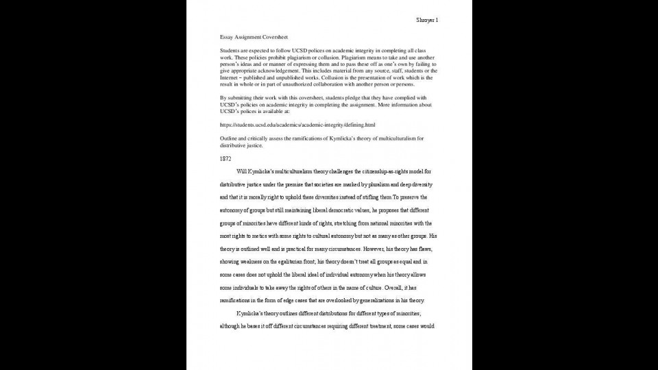 Essay On Multiculturalism Portfolium Arrowforward After High School Essay also Business Management Essay Topics Sample English Essay