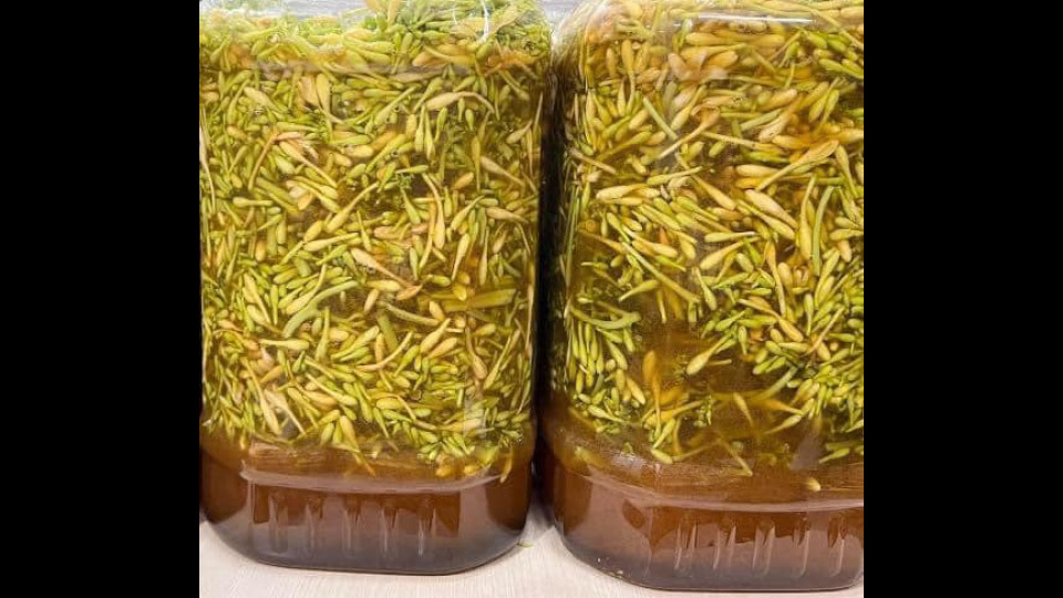 Bông đu đủ đực ngâm mật ong Lợi ích và cách sử dụng Bông đu đủ đực ngâm mật ong Lợi ích và cách sử dụng
