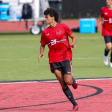 Pedro Meidanis
