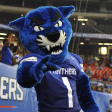 Pounce The Panther