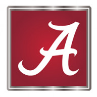 network logo