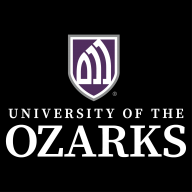 network logo