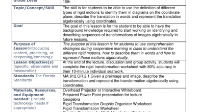 Tovincent Observation2 Lesson Plan-Differentiated Instruction