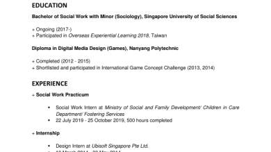Cv Portfolium