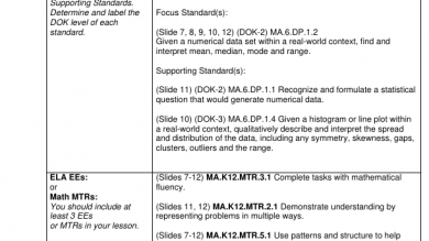 Tovincent Observation2 Lesson Plan-Differentiated Instruction