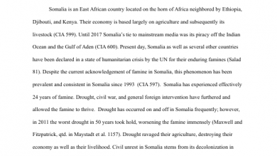What Is A Thesis In An Essay Research Essay On The Somali Famine Research Paper Vs Essay also High School And College Essay Jaselin Drown Portfolium What Is A Thesis Statement For An Essay