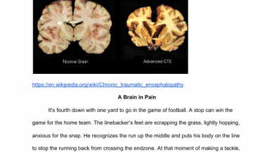 Cte 2 essay 08 picture