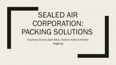 sealed air corporation case study