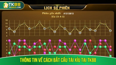 TK88 - Nền tảng cá cược trực tuyến hàng đầu
