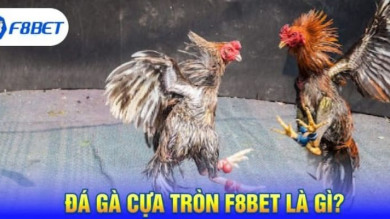 Khám Phá Thế Giới Giải Trí Tại F8bet - Nơi Cộng Đồng Gặp Nhau