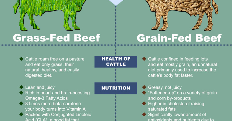 grass fed beef vs grain fed Texas a&m university research concludes that ground beef from grass-fed cattle is not healthier than that from conventionally raised ground beef. grass fed beef vs grain fed Texas a&m university research concludes that ground beef from grass-fed cattle is not healthier than that from conventionally raised ground beef.