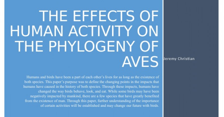 the effects of play activity on The effect of small-group game play activities on number sense performance rashidah vapumarican convent of the holy infant jesus (kellock). the effects of play activity on The effect of small-group game play activities on number sense performance rashidah vapumarican convent of the holy infant jesus (kellock).