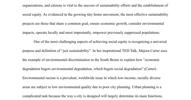 Synthesis essay example image