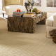 Toal Cleaning