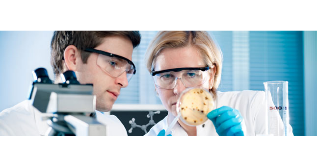 Get a job at Pfizer Portfolium