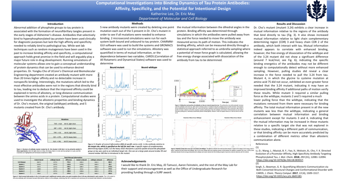 Computational Studies Of Tau Protein Antibodies Portfolium