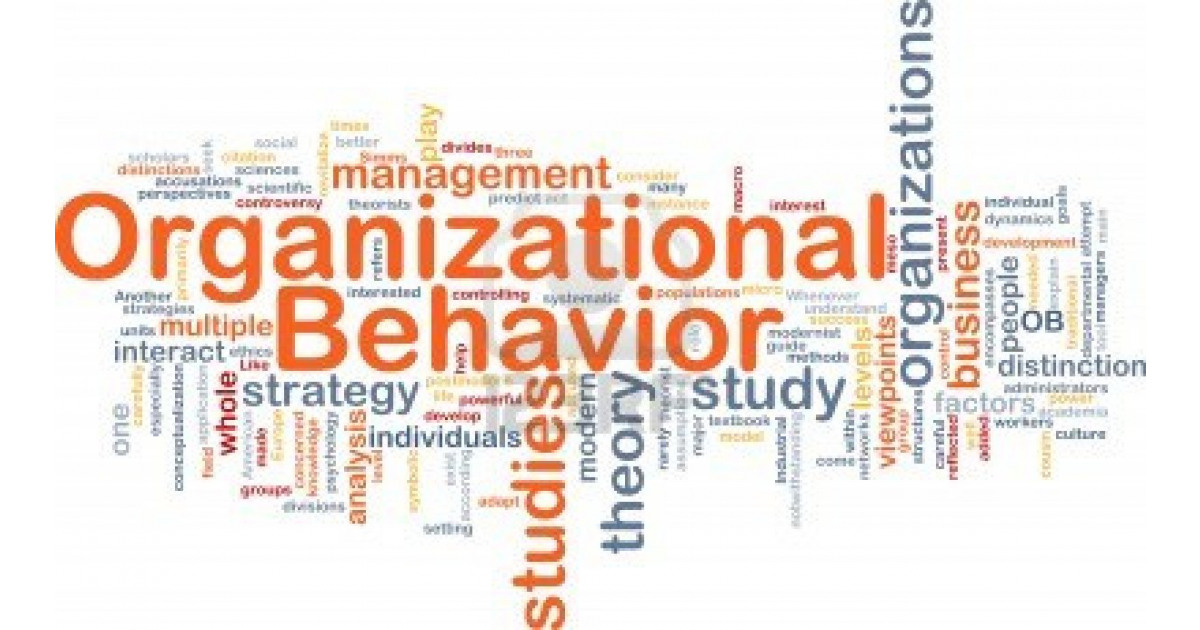 Portfolium Network: Showcase Your Skills in an ePortfolio