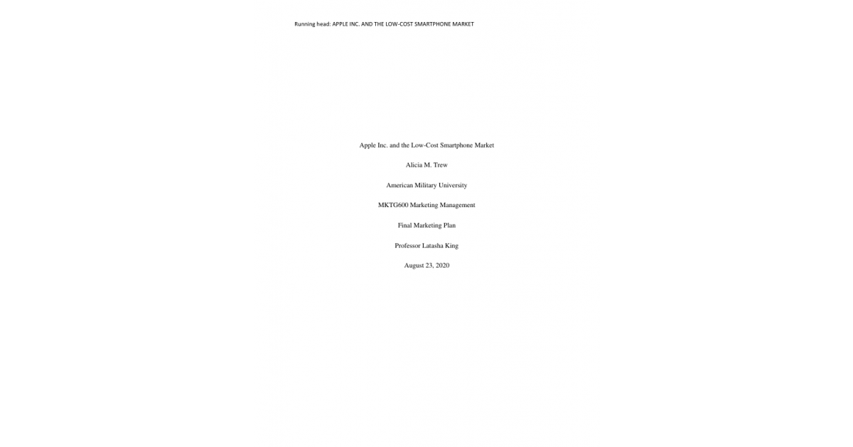 Final Marketing Plan Example