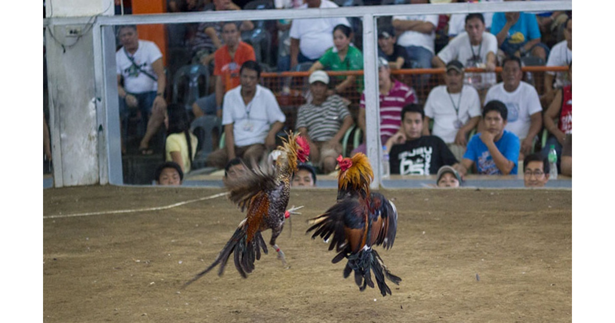 N88 – Hướng Dẫn Chi Tiết Để Truy Cập An Toàn Và Hiệu Quả